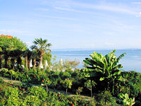 Aussicht auf den Bodensee