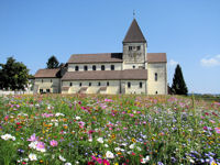 Blick auf die St. Georgskirche auf der Reichenau in Oberzell