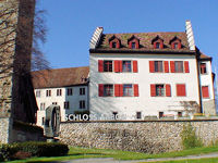 Schloss Arbon