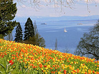 Insel Mainau Ausblick