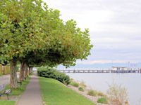 Blick entlang der Hagnauer Uferpromenade, über den Schiffsanleger und Bodensee in Richtung Alpen