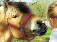 Mädchen streichelt Pferd